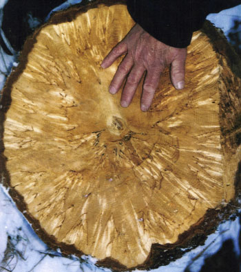 Kuhmoinen